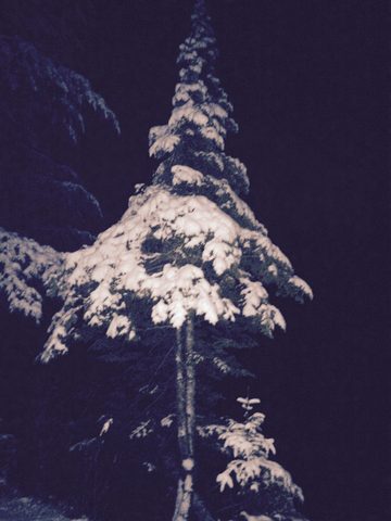 Photo from Canoeing  Joe Lake, Algonquin Park - The Silence and the Storm
