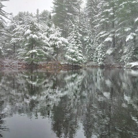 Photo from Canoeing  Joe Lake, Algonquin Park - The Silence and the Storm