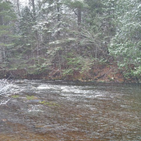 Photo from Canoeing  Joe Lake, Algonquin Park - The Silence and the Storm
