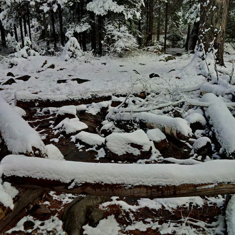Photo from Canoeing  Joe Lake, Algonquin Park - The Silence and the Storm