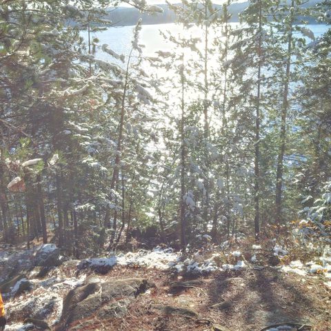 Photo from Canoeing  Joe Lake, Algonquin Park - The Silence and the Storm