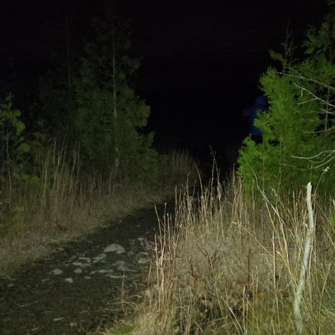 Photo from Hiking, Bruce Peninsula National Park