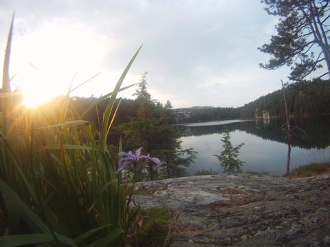 Photo from Backpacking in Killarney Provincial Park