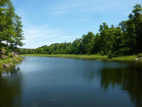 Photo from Backpacking in Killarney Provincial Park