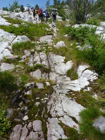 Photo from Backpacking in Killarney Provincial Park