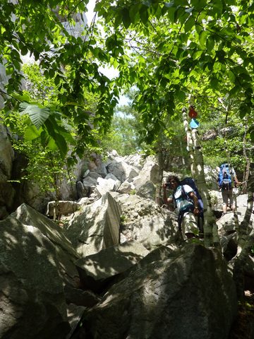 Photo from Backpacking in Killarney Provincial Park