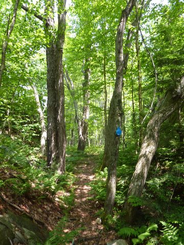 Photo from Backpacking in Killarney Provincial Park