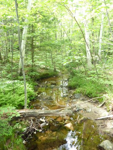 Photo from Backpacking in Killarney Provincial Park