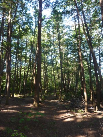 Photo from Backpacking in Killarney Provincial Park