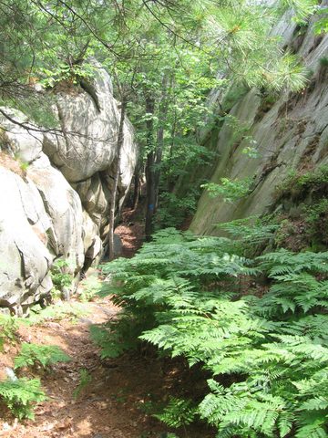 Photo from Backpacking in Killarney Provincial Park