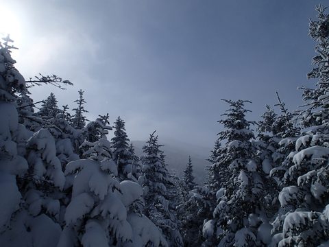 Photo from Snowshoeing, Mt. Marcy summit, Lake Placid, NY