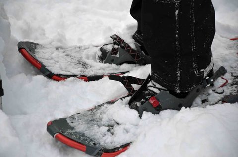 Dang, those snowshoes!