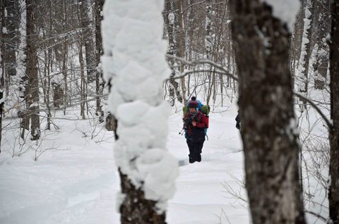 Photo from Snowshoeing, Guskewau Lake, Algonquin