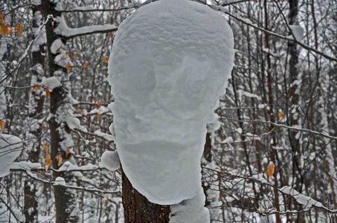 The ghost in the woods!