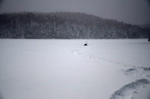 Photo from Snowshoeing, Guskewau Lake, Algonquin