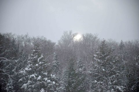 Snowy sunset