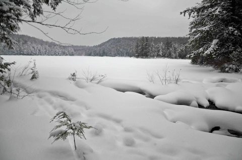 Photo from Snowshoeing, Guskewau Lake, Algonquin