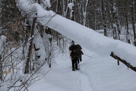 Photo from Snowshoeing, Guskewau Lake, Algonquin