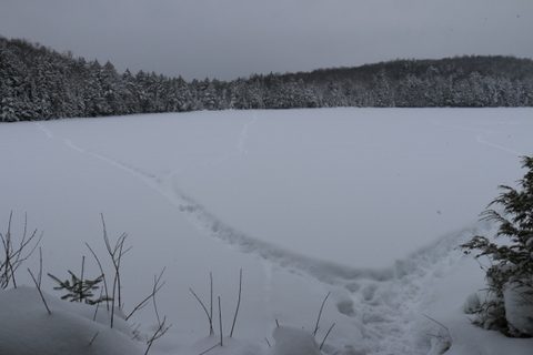 Photo from Snowshoeing, Guskewau Lake, Algonquin