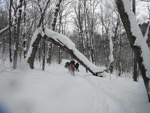 Photo from Snowshoeing, Guskewau Lake, Algonquin