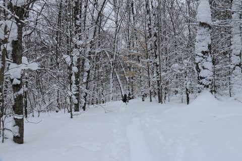 Photo from Snowshoeing, Guskewau Lake, Algonquin