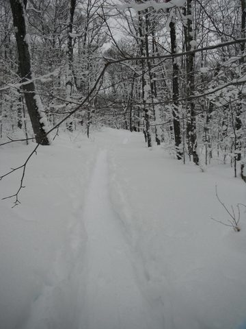 Photo from Snowshoeing, Guskewau Lake, Algonquin
