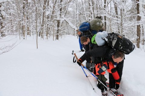Photo from Snowshoeing, Guskewau Lake, Algonquin