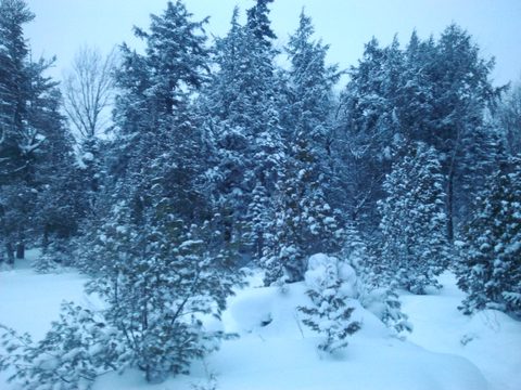 Photo from Snowshoeing, Guskewau Lake, Algonquin