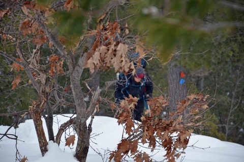 Photo from Snowshoeing, Killarney Provincial Park