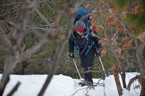 Photo from Snowshoeing, Killarney Provincial Park