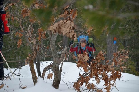 Photo from Snowshoeing, Killarney Provincial Park