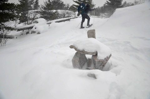 Photo from Snowshoeing, Killarney Provincial Park