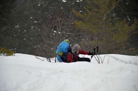 Photo from Snowshoeing, Killarney Provincial Park