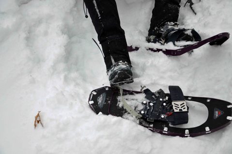 Photo from Snowshoeing, Killarney Provincial Park