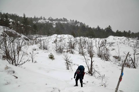 Photo from Snowshoeing, Killarney Provincial Park