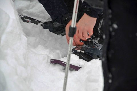 Photo from Snowshoeing, Killarney Provincial Park