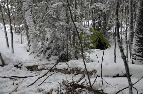 Photo from Snowshoeing, Killarney Provincial Park
