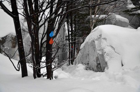 Photo from Snowshoeing, Killarney Provincial Park