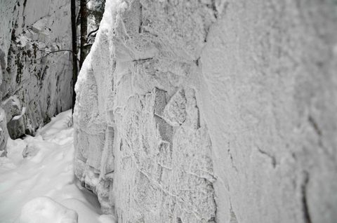 Photo from Snowshoeing, Killarney Provincial Park