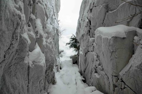 Photo from Snowshoeing, Killarney Provincial Park