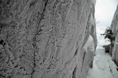 Photo from Snowshoeing, Killarney Provincial Park