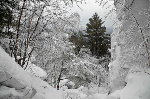 Photo from Snowshoeing, Killarney Provincial Park