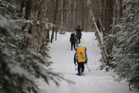 Photo from Snowshoeing, Killarney Provincial Park