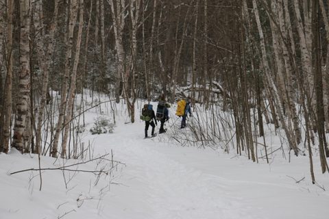 Photo from Snowshoeing, Killarney Provincial Park