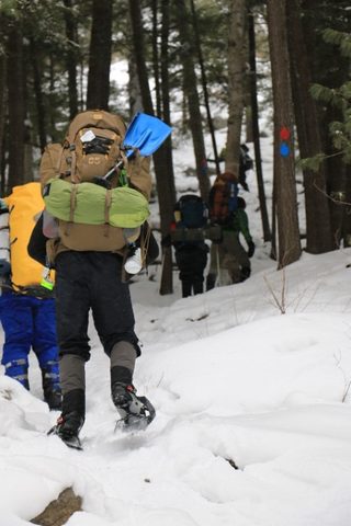 Photo from Snowshoeing, Killarney Provincial Park
