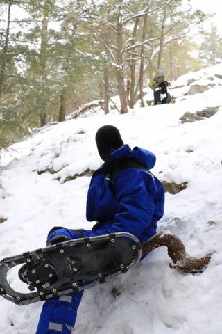 Photo from Snowshoeing, Killarney Provincial Park