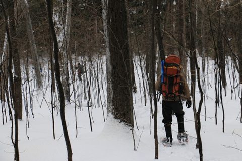 Photo from Snowshoeing, Killarney Provincial Park