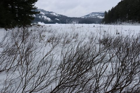 Photo from Snowshoeing, Killarney Provincial Park