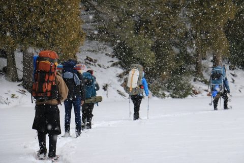 Photo from Snowshoeing, Killarney Provincial Park