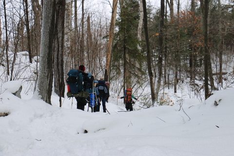 Photo from Snowshoeing, Killarney Provincial Park